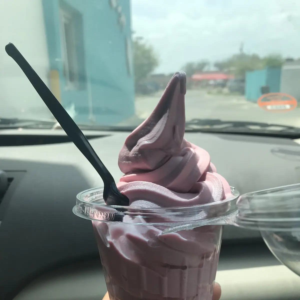 Raspberry Soft Serve