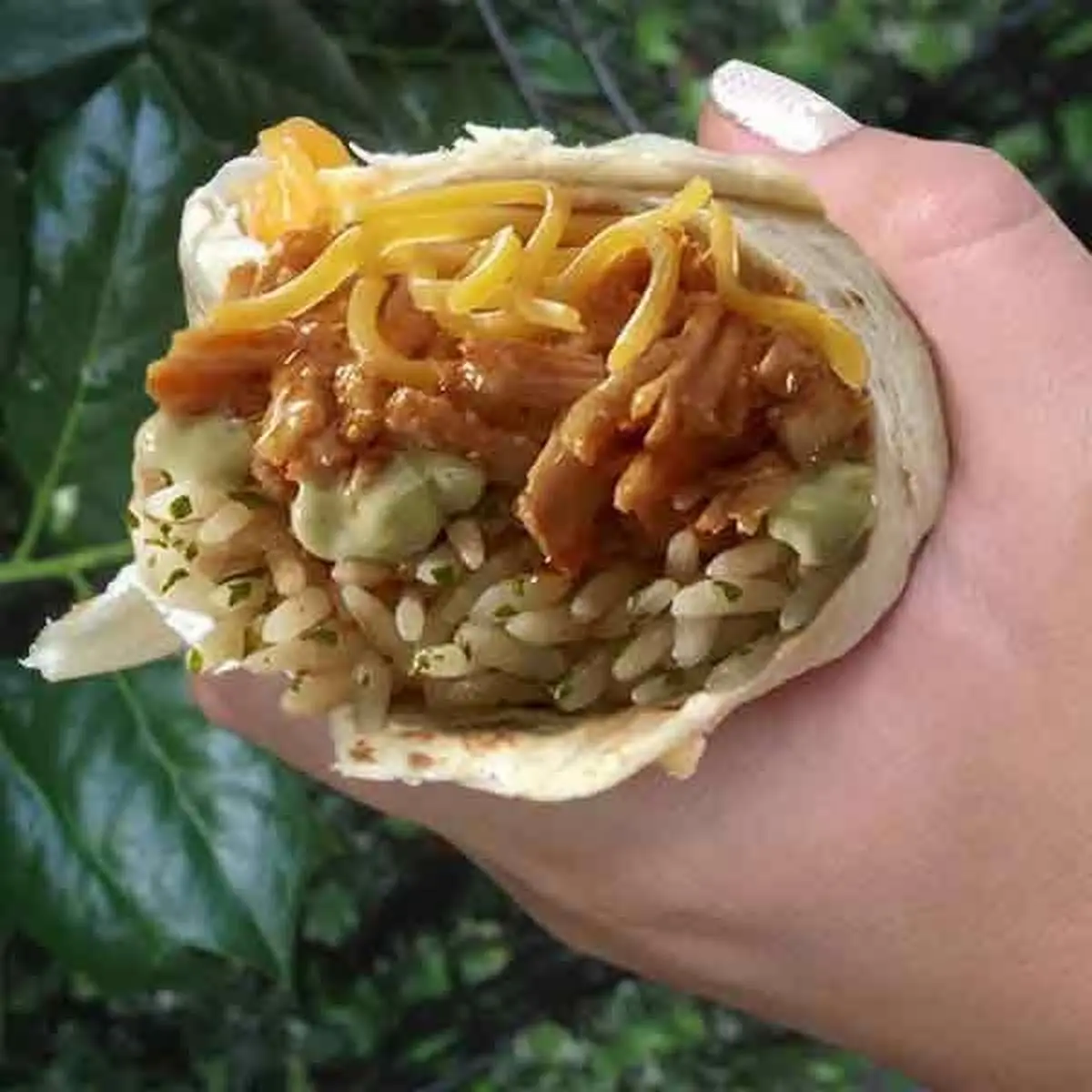 One Burrito Mexican Rice and Refried Beans