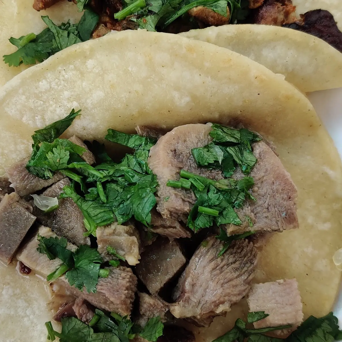 Carnitas Tacos