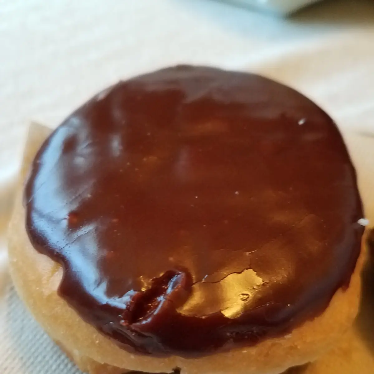 Boston Cream Donuts