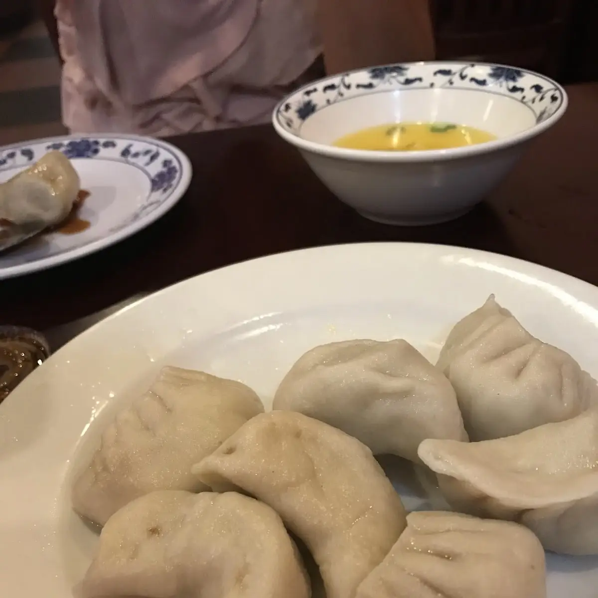 Pan Fried Dumplings