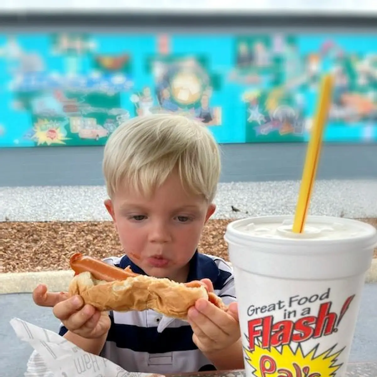 Hot Dog with Fries