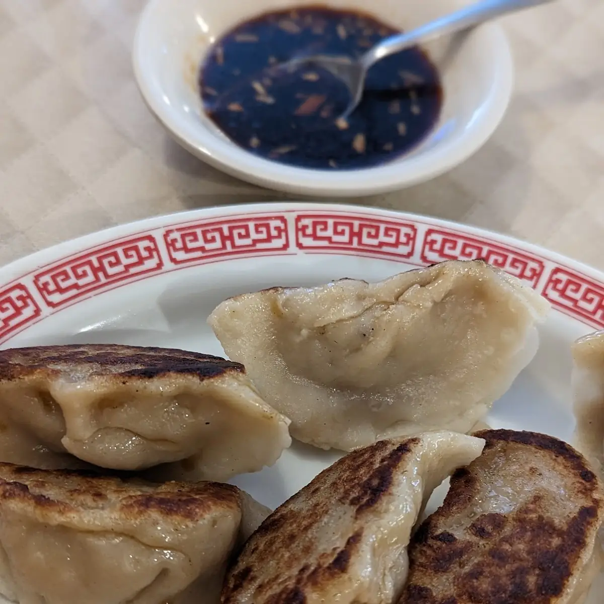 Pan Fried Dumplings