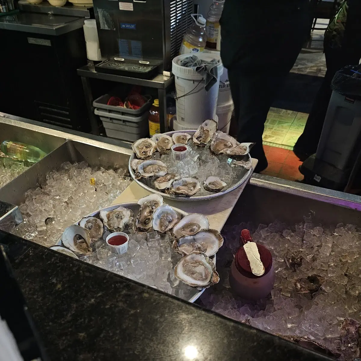 Fresh Oysters