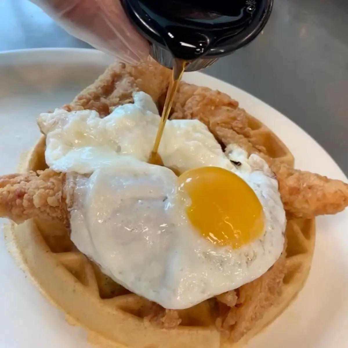 Chicken & Waffle