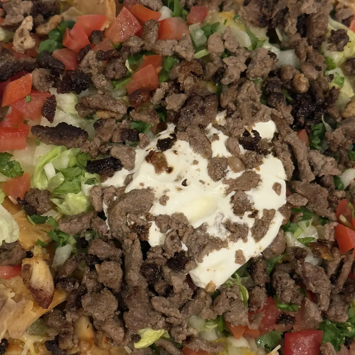 Carne Asada Fries