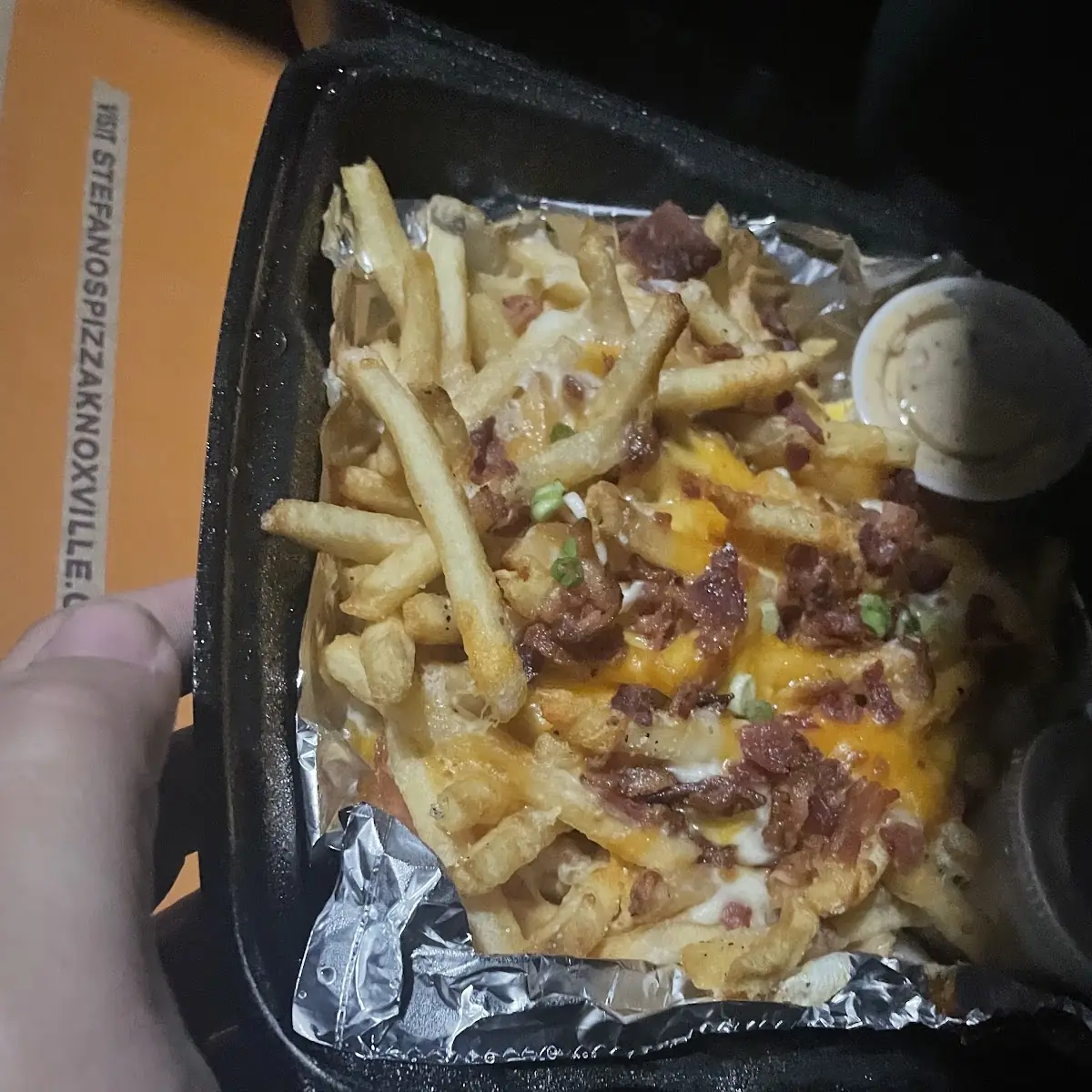 Loaded Fries