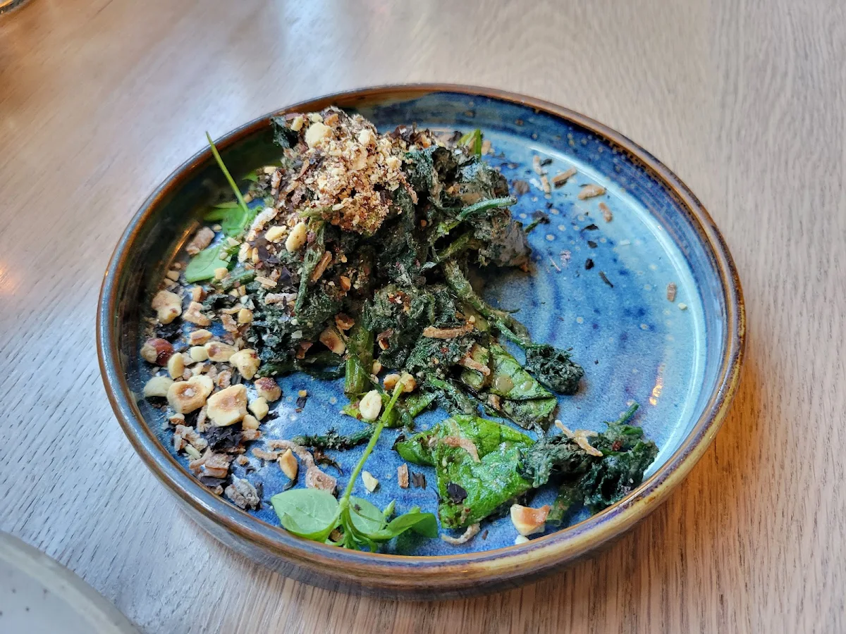 Pan Roasted Wild Milkweed