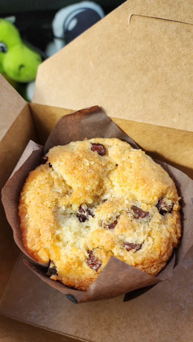 Blueberry Muffin