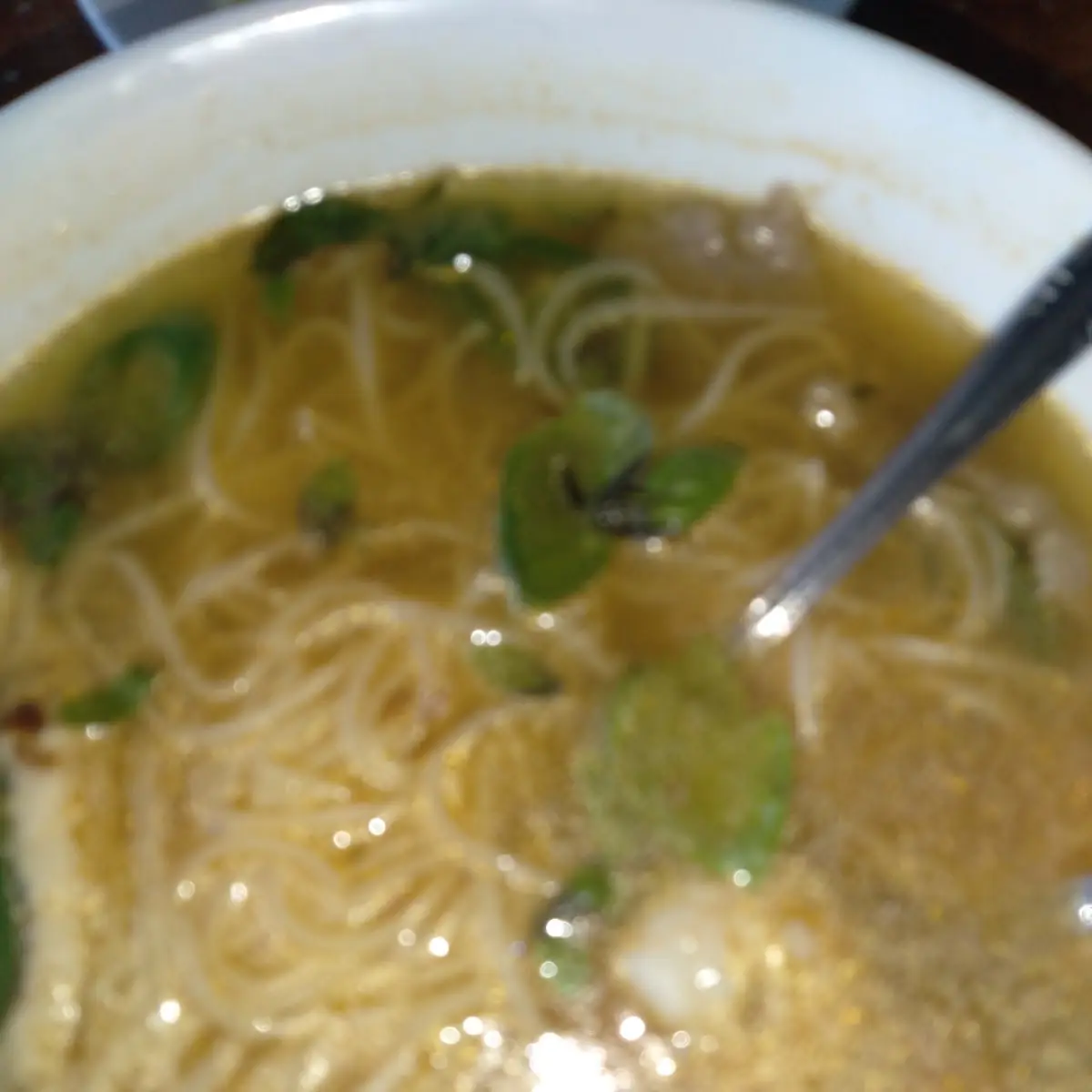 Vietnamese Noodle Soup