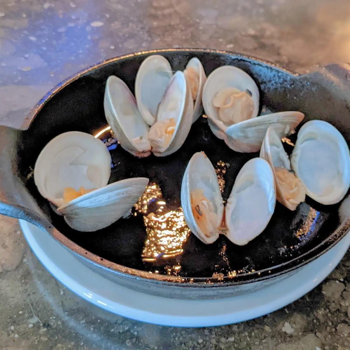 Little Neck Clams