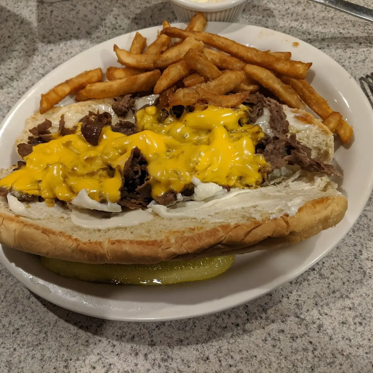 Cheese Steak and Fries