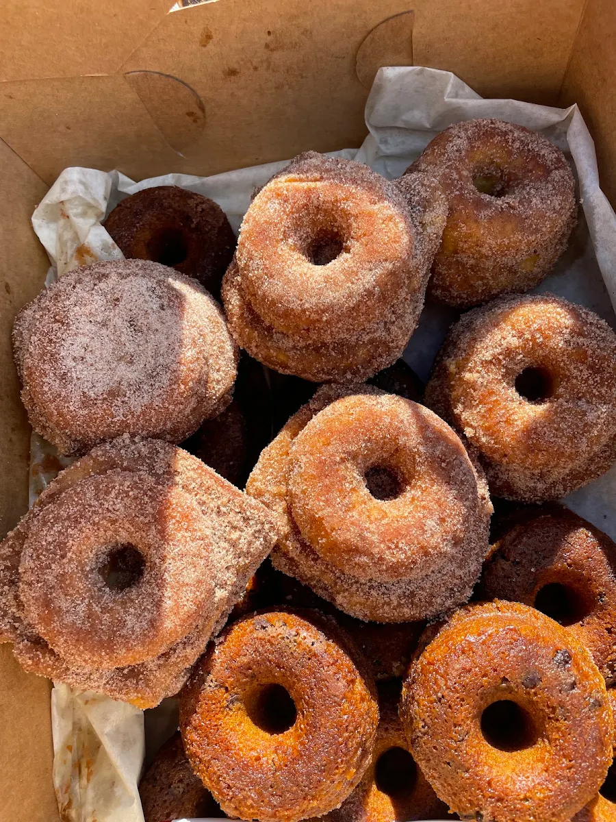Cider Doughnut