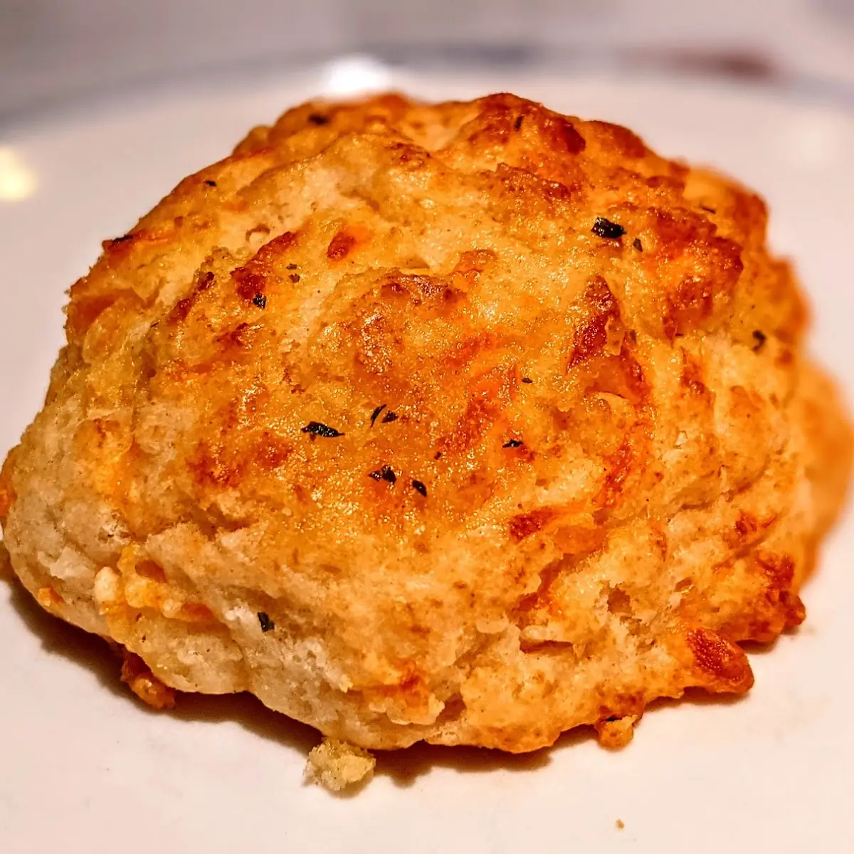 Jumbo Lump Crab Cake