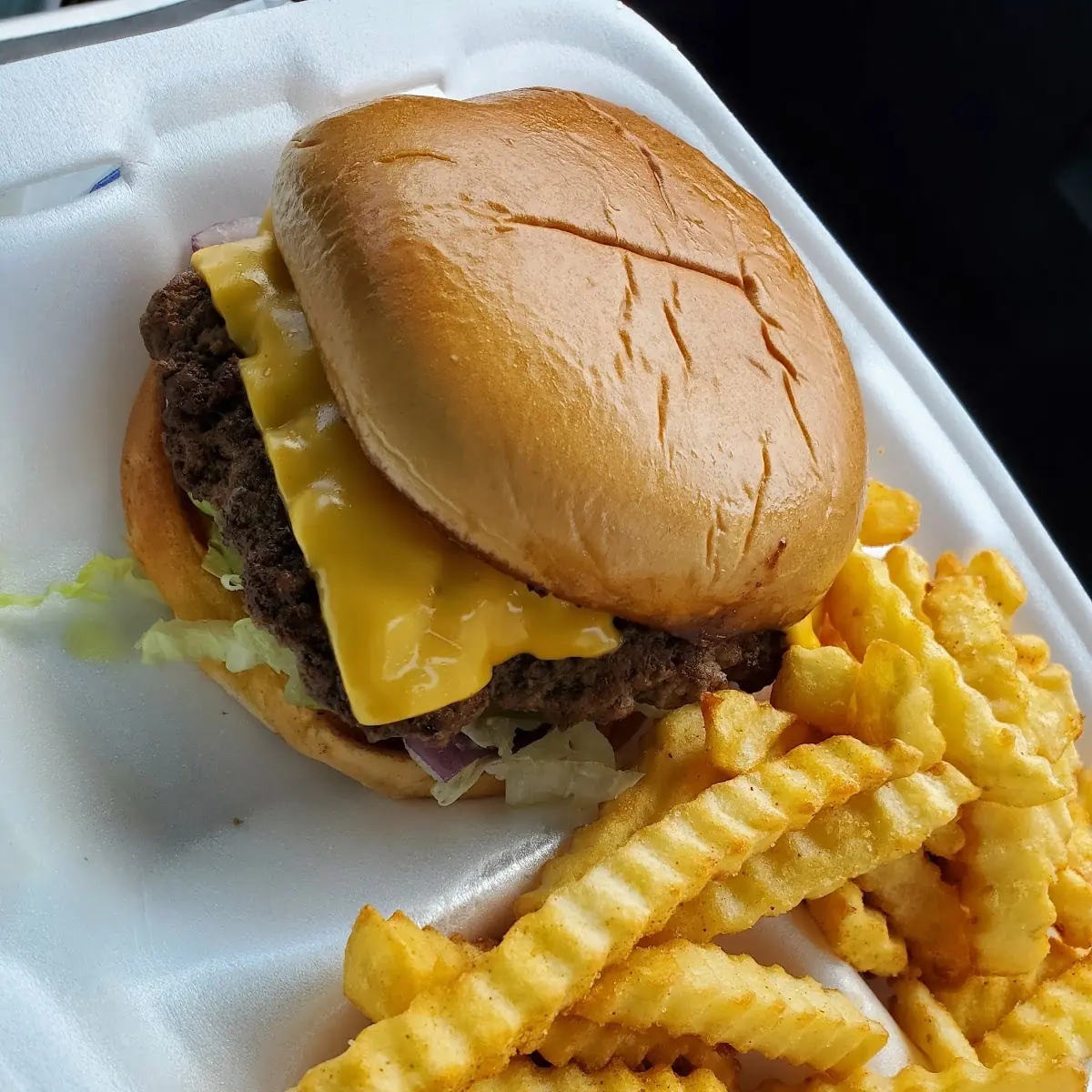Cheeseburger and Fries