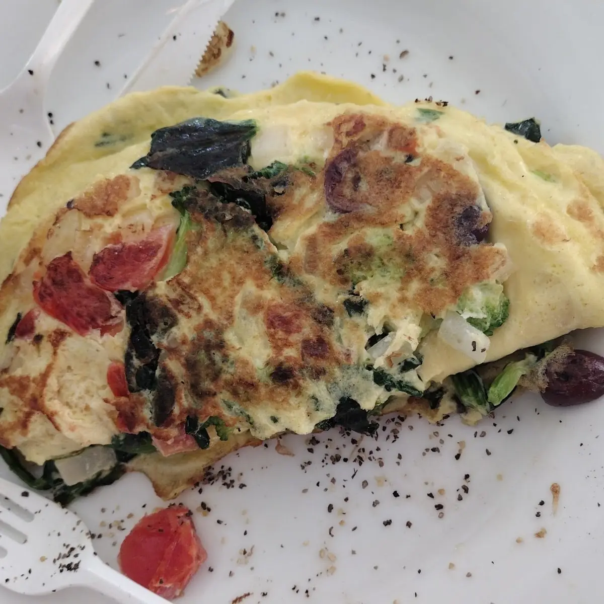 Veggie Omelette