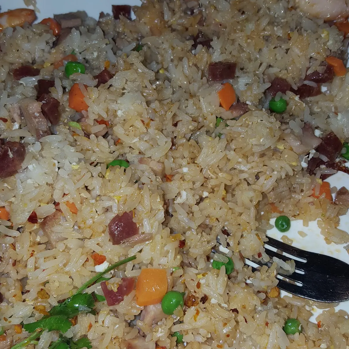 Vegetarian Fried Rice