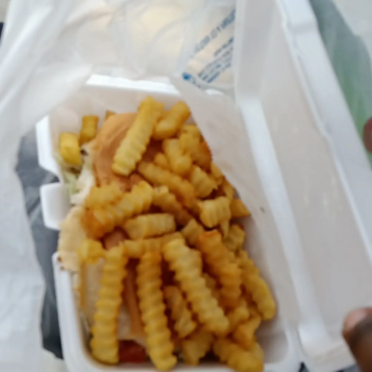 Torta & French Fries
