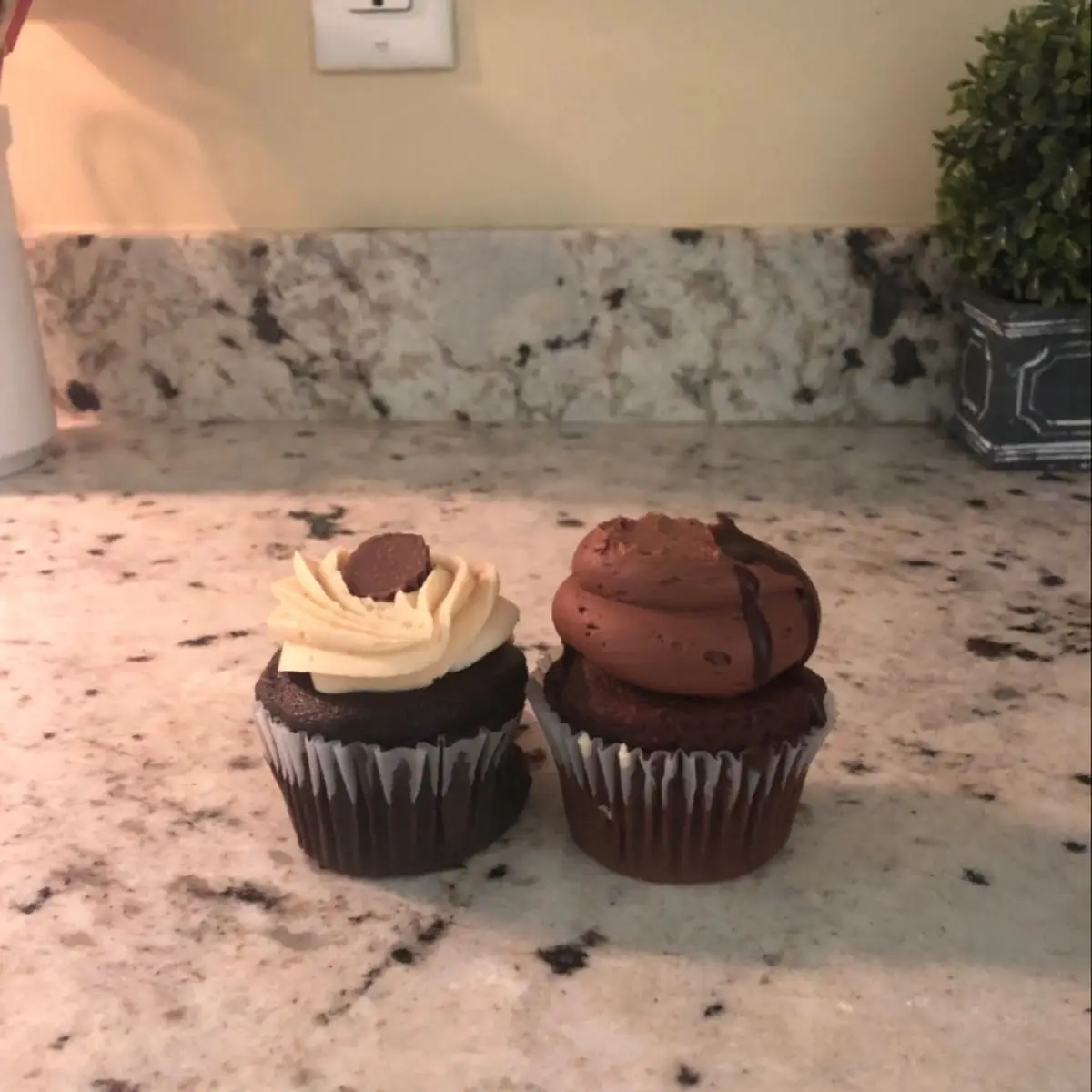 Chocolate with Peanut Butter