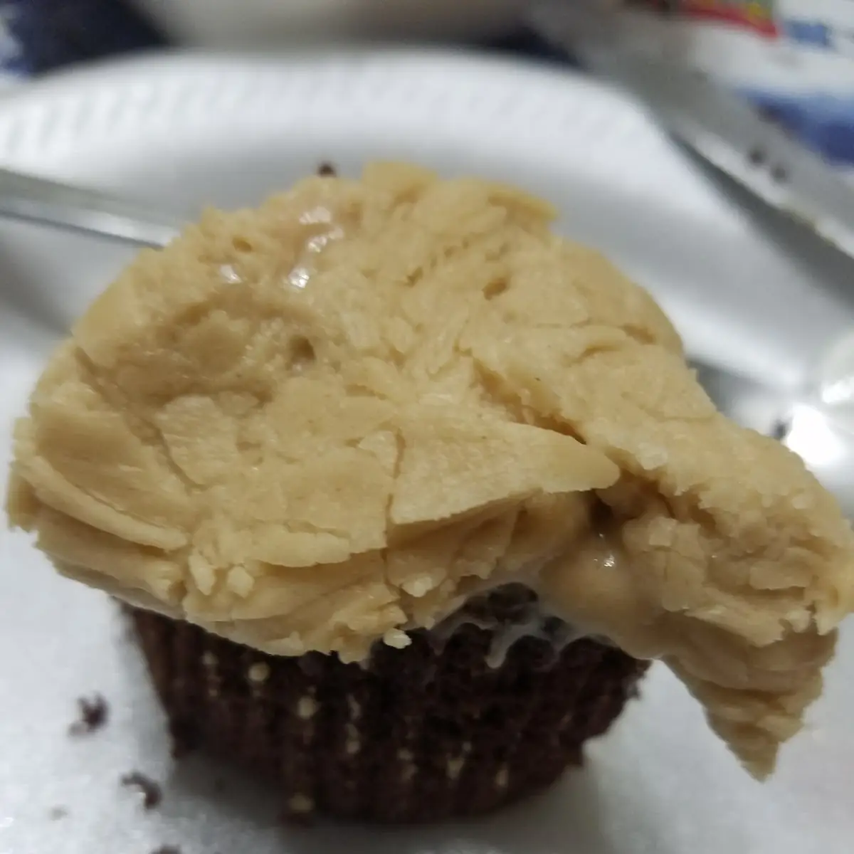 Chocolate Peanut Butter Cupcake