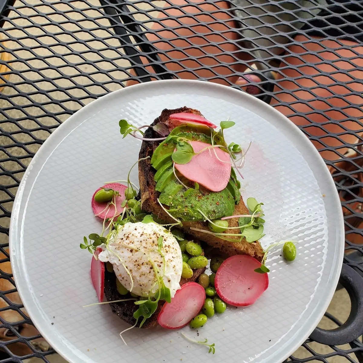 Avocado Toast