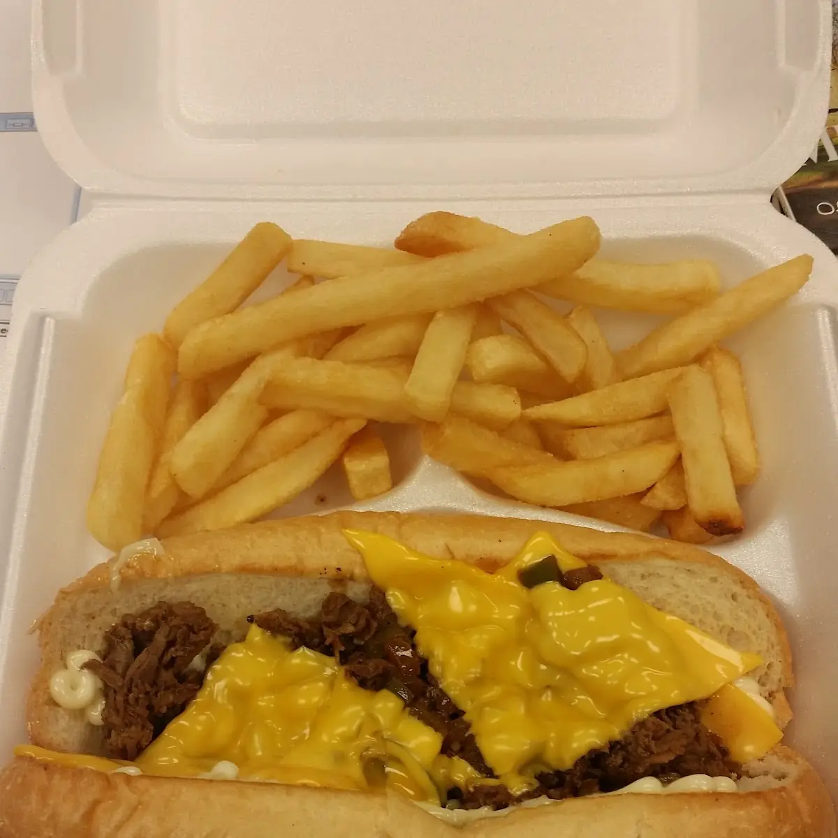 Philly Cheese Steak and Fries