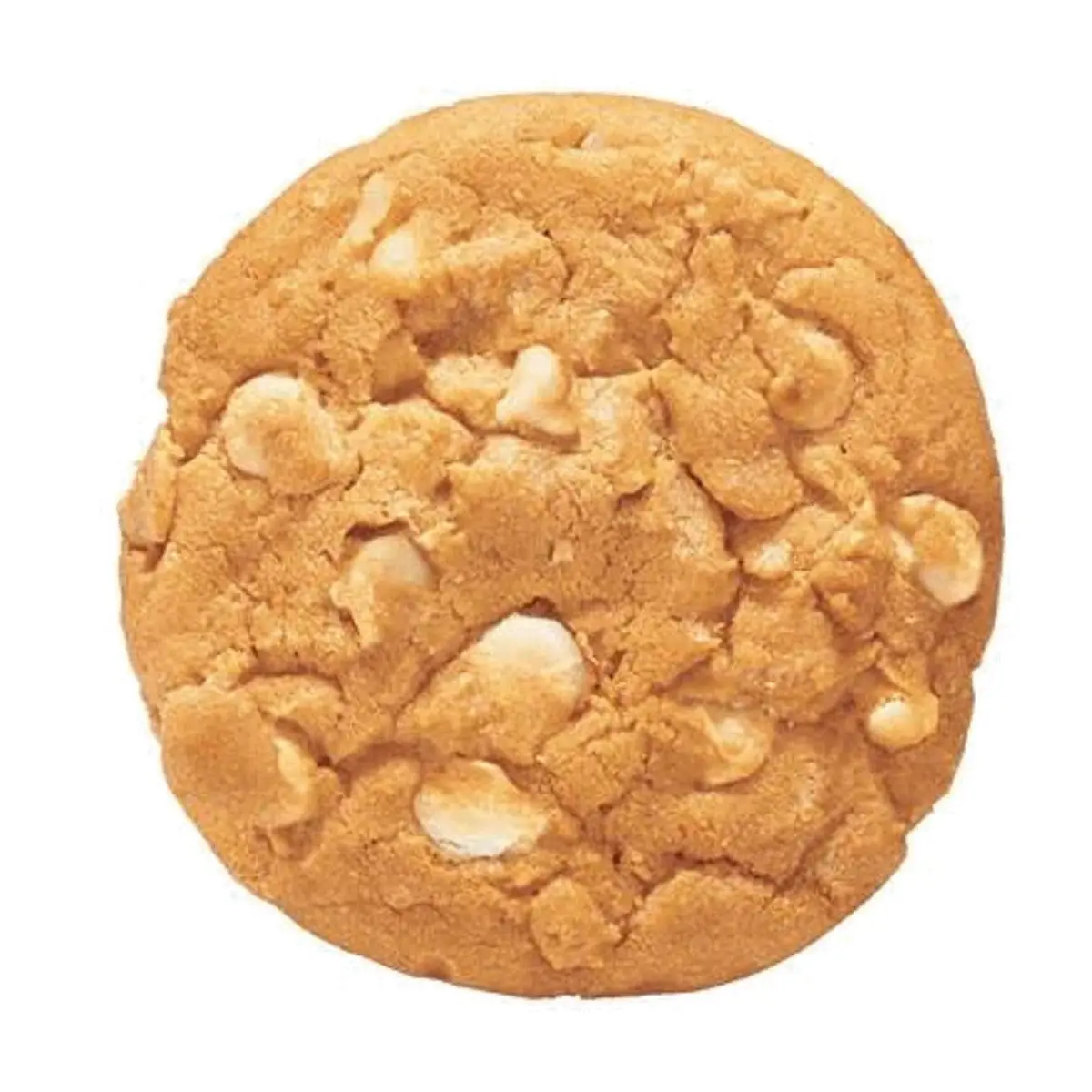 White Chip Macadamia Nut Cookie
