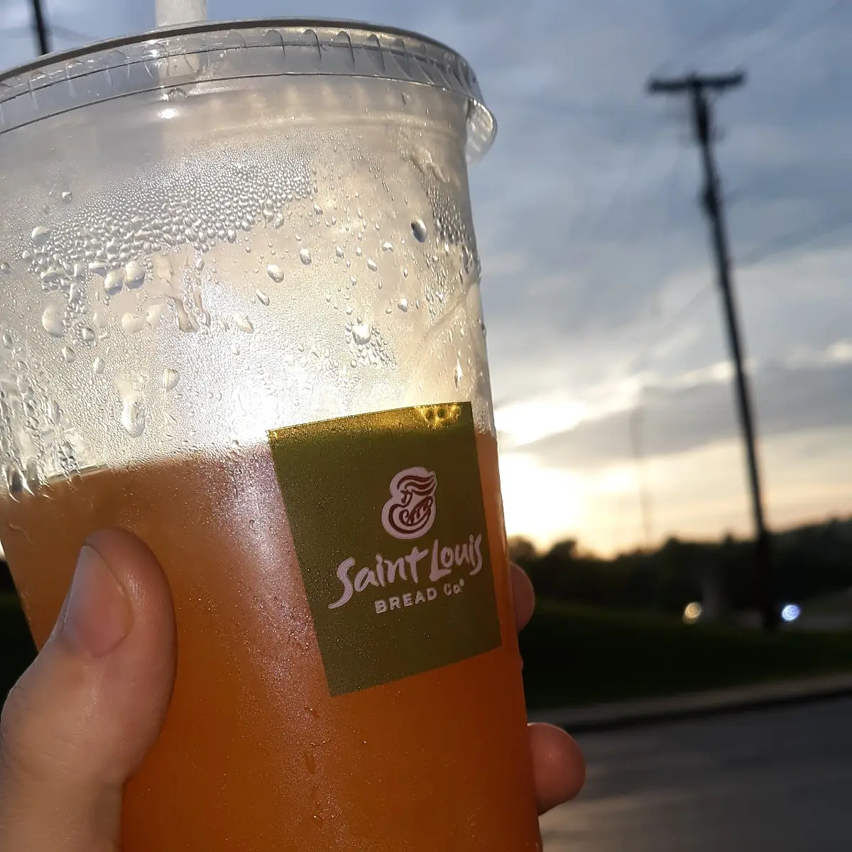 Orange Mango Green Tea
