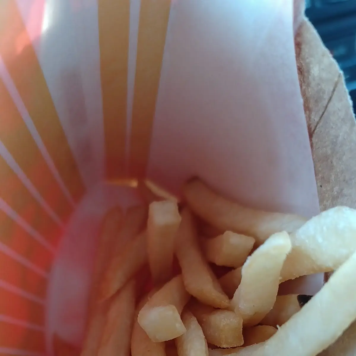 World Famous Fries