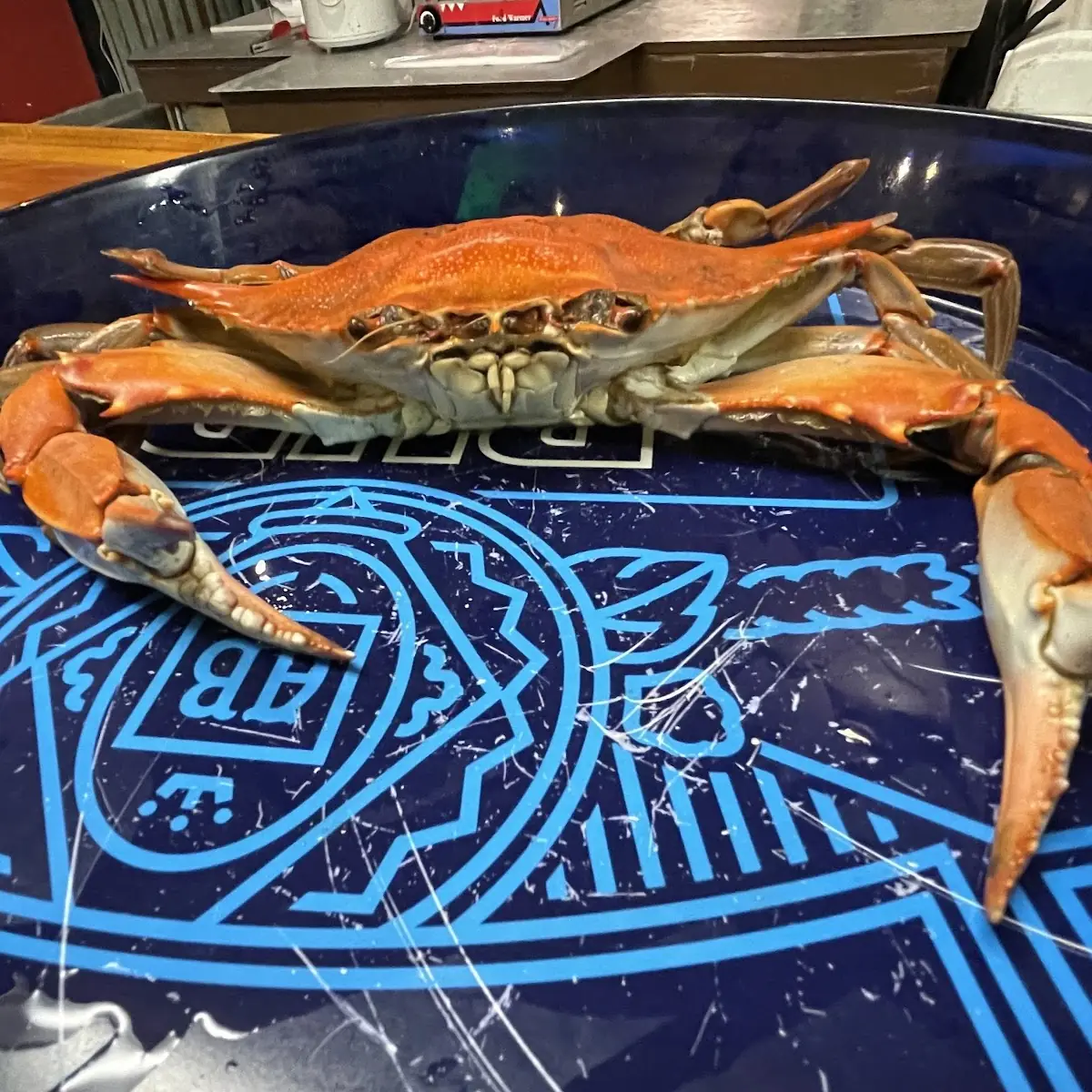 Large Boiled Blue Crabs