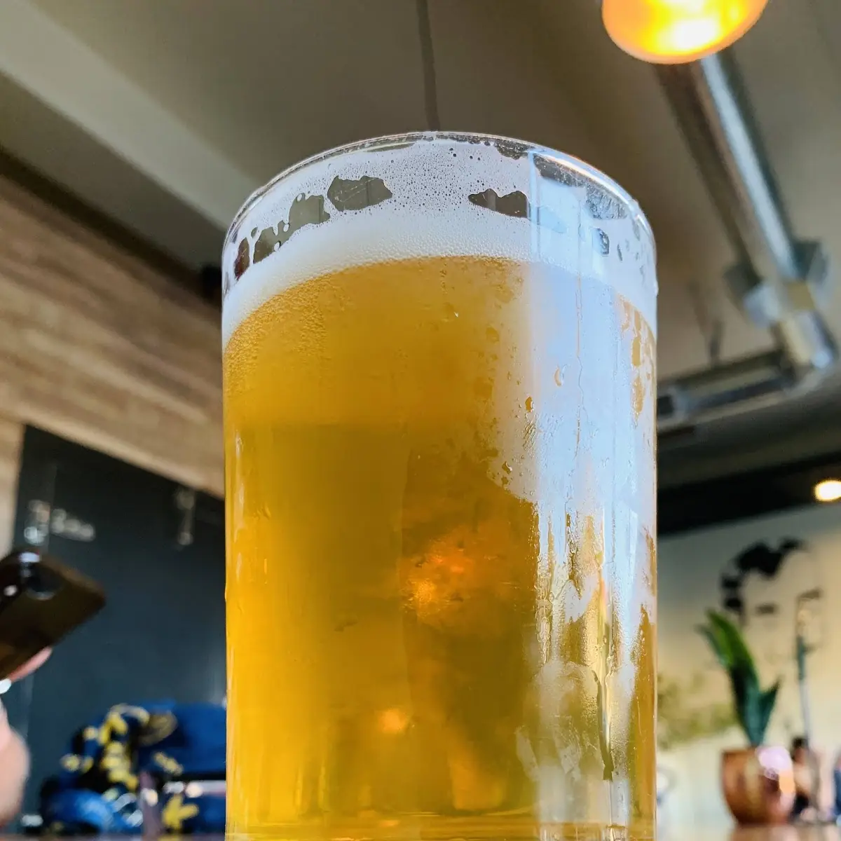 Hazy Pale Ale