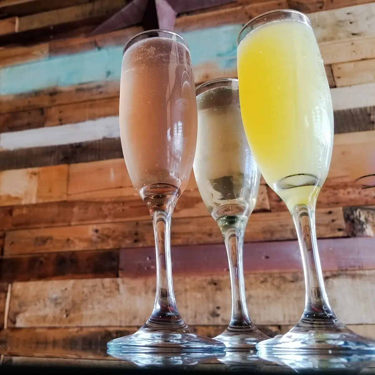 Love Mimosa Flight