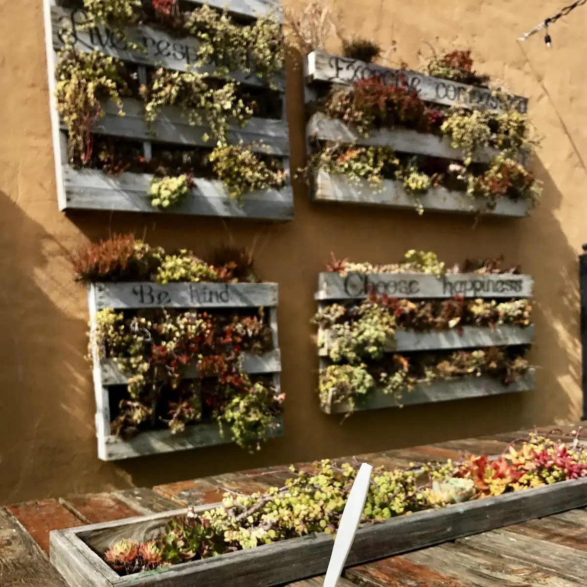 Salad Bar