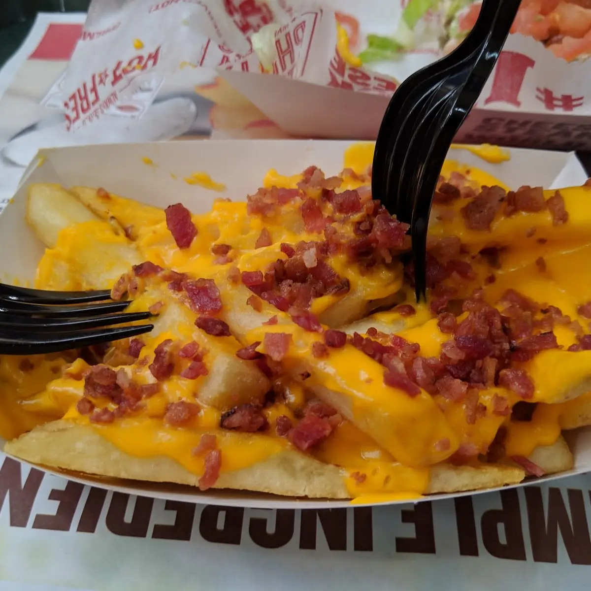 Cheese Fries