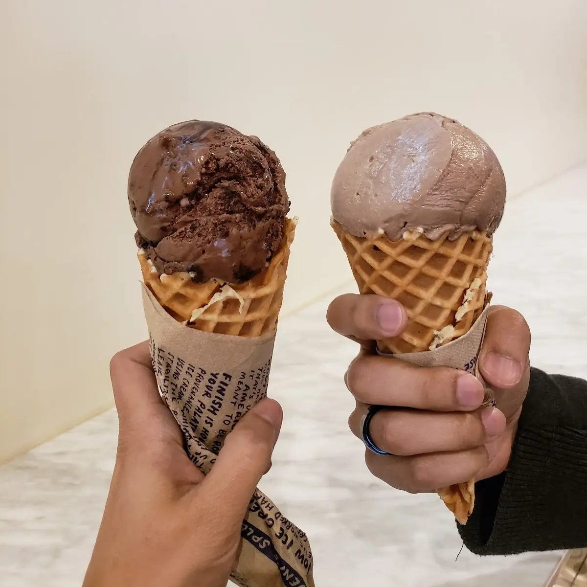 Salted Peanut Butter with Chocolate Flecks Pint