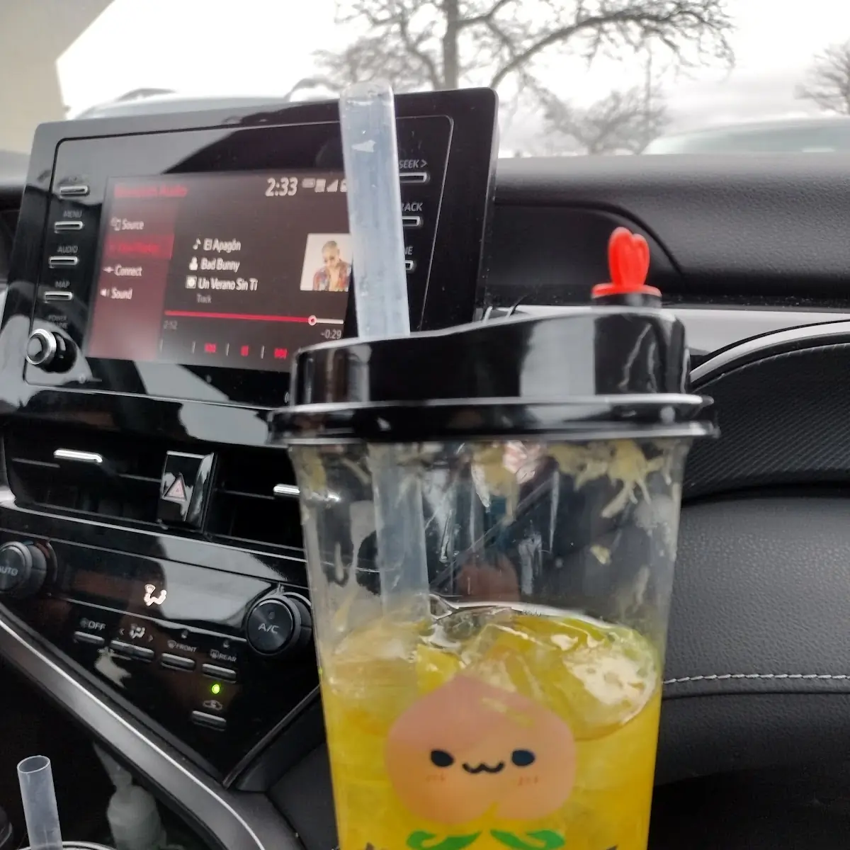 Passion Fruit Green Tea Lemonade