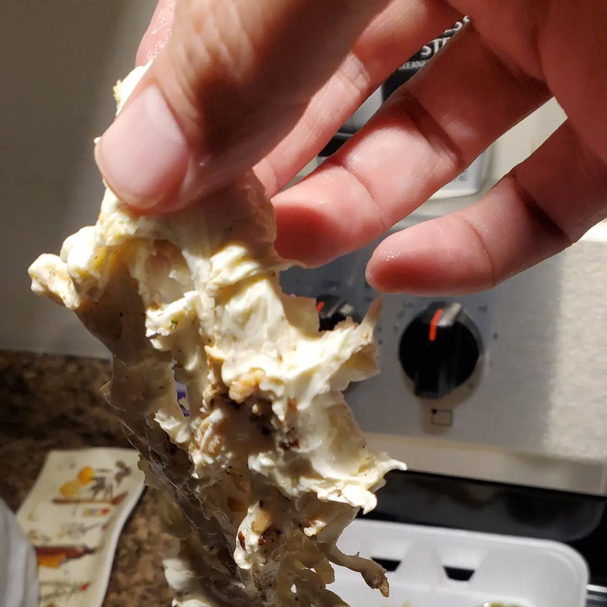 Cheese Quesadilla