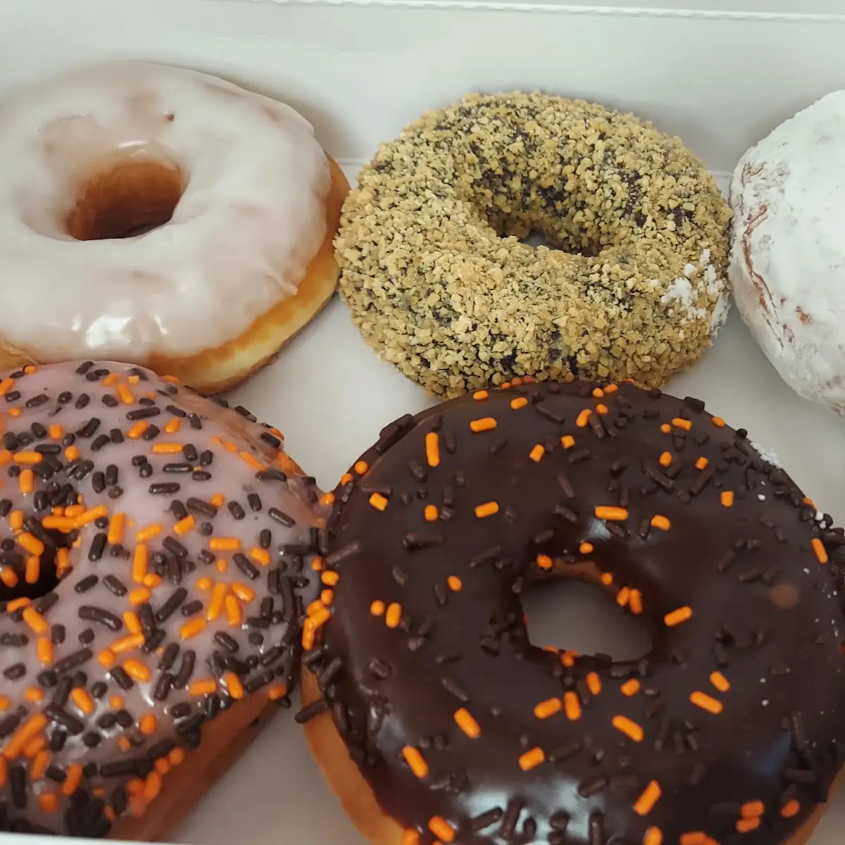 Doughnut