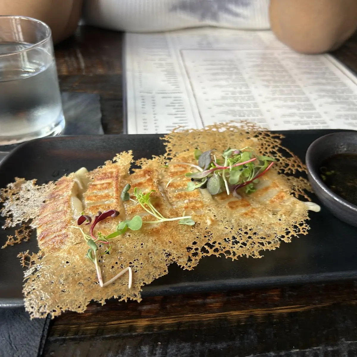Beef Dumplings