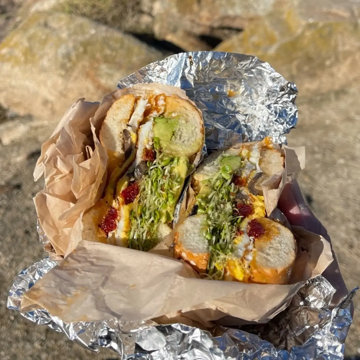 Everything Bagel Sandwich