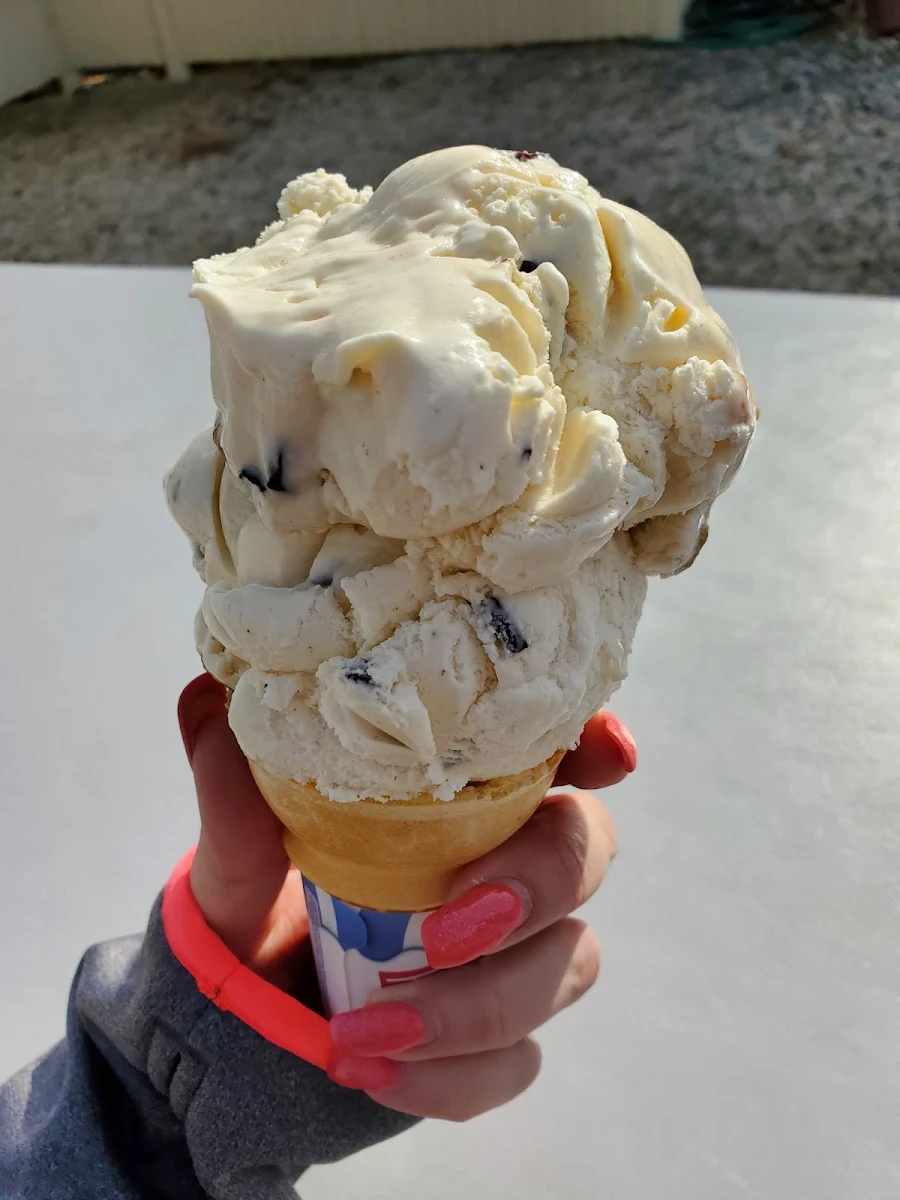 Chocolate Chip Cookie Dough