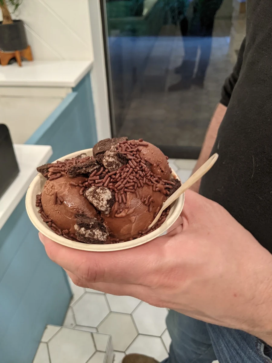 Vegan Chocolate Ice Cream