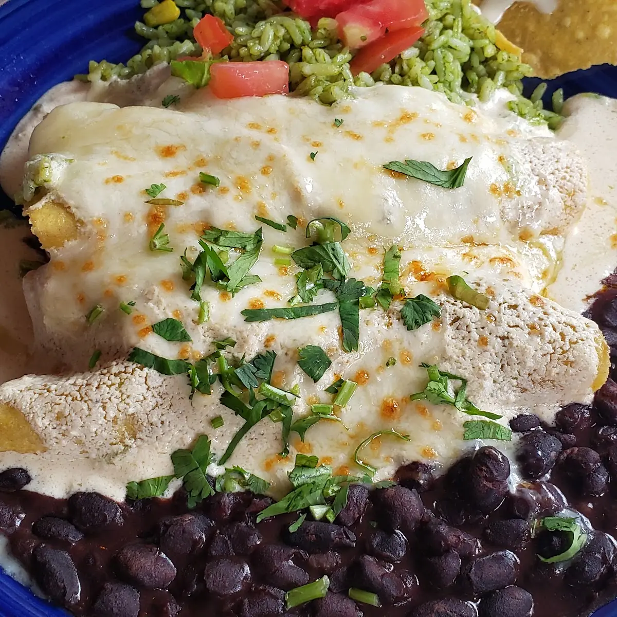 Brisket Enchiladas with Goat Cheese Sauce