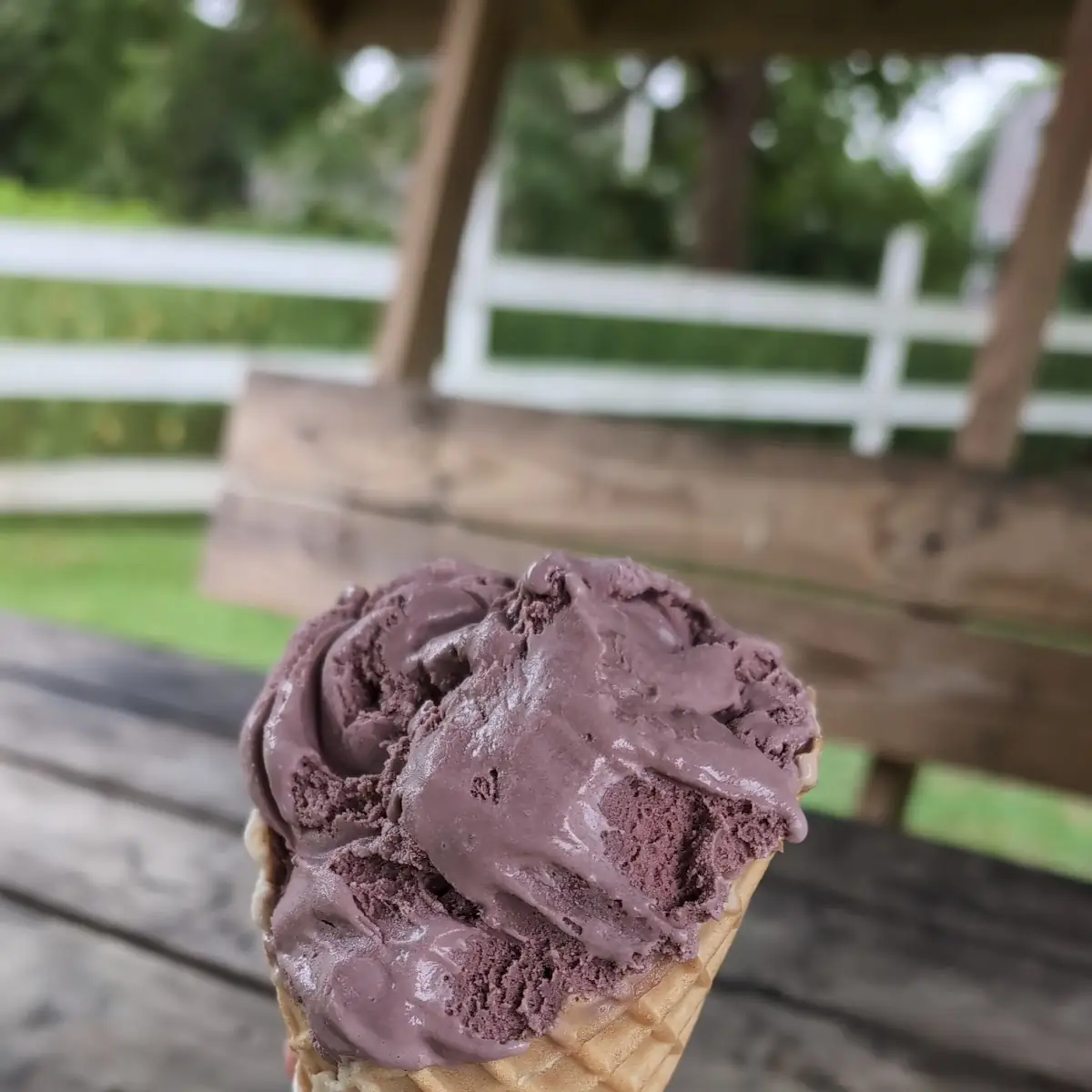 Black Raspberry Chip