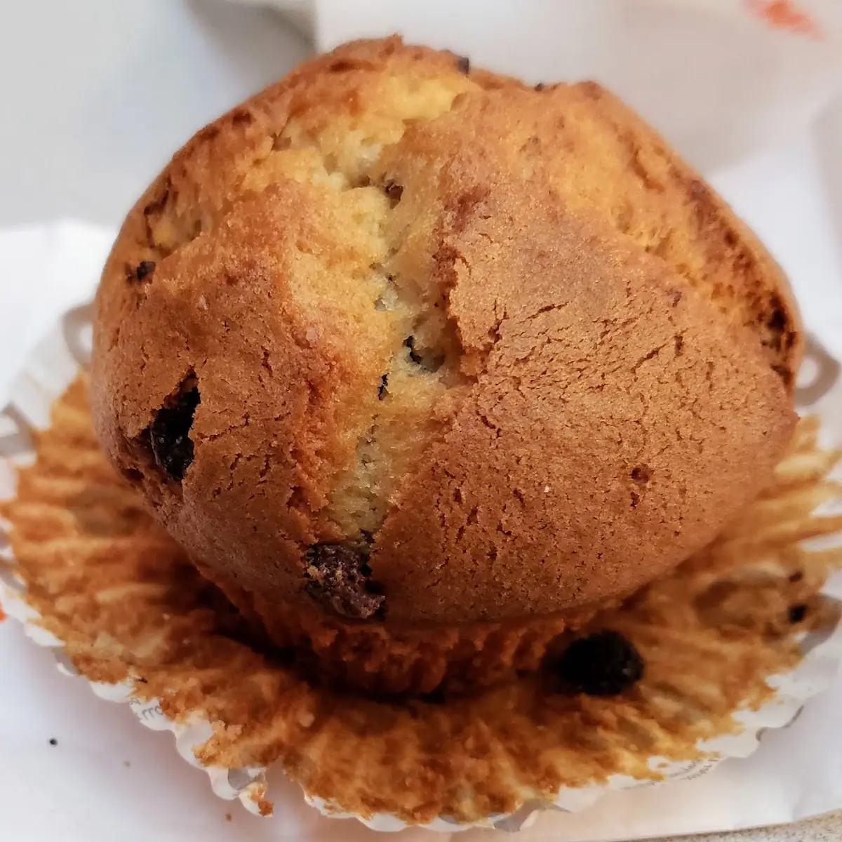 Chocolate Chip Muffin