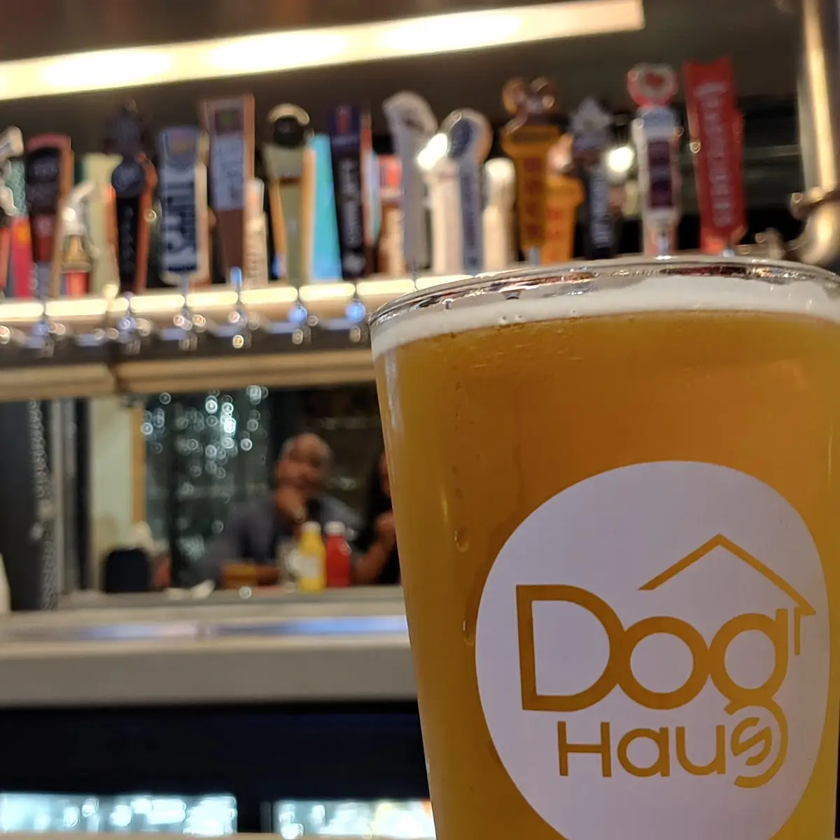 Off Draft Beer & Wine