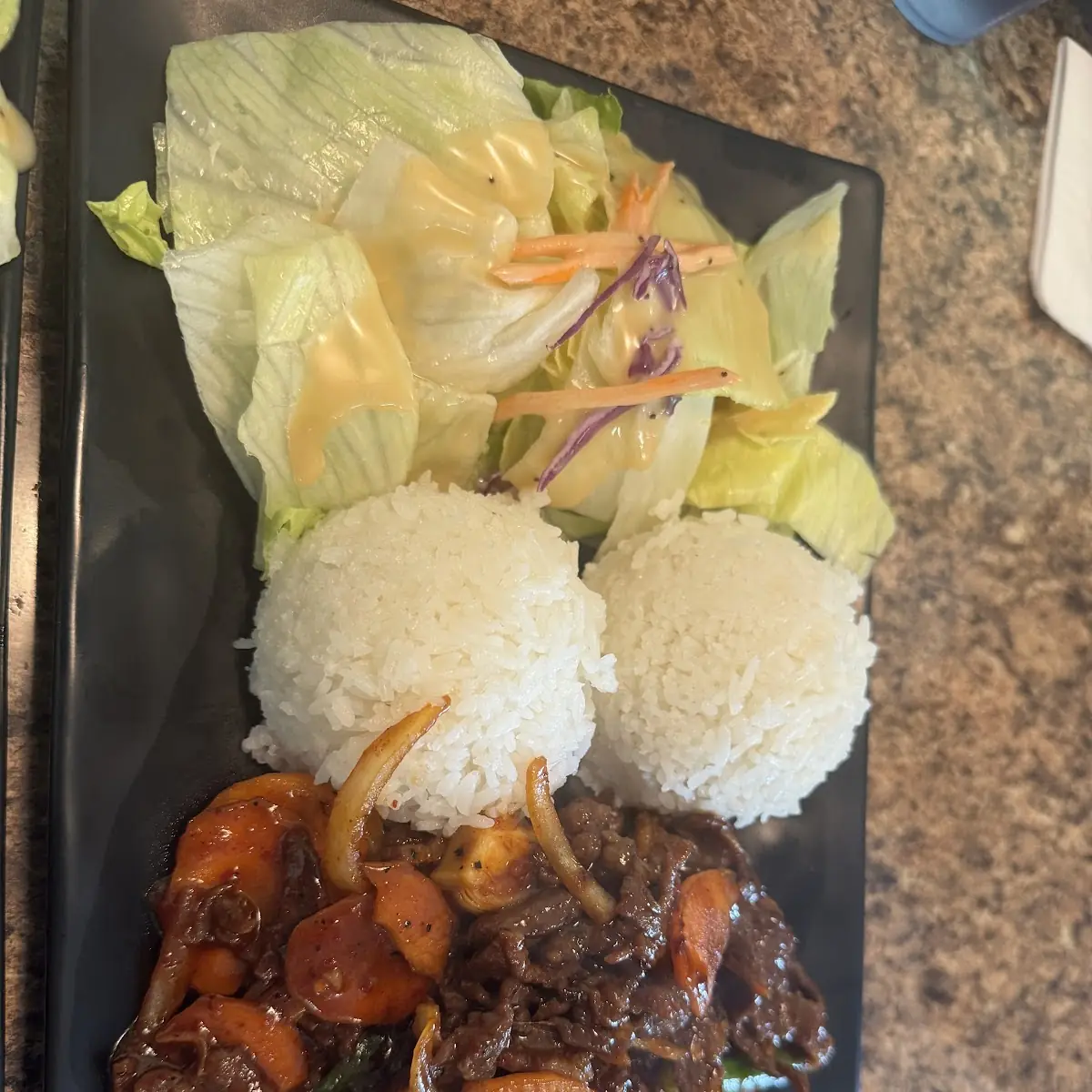 Chicken Teriyaki & Chicken Katsu