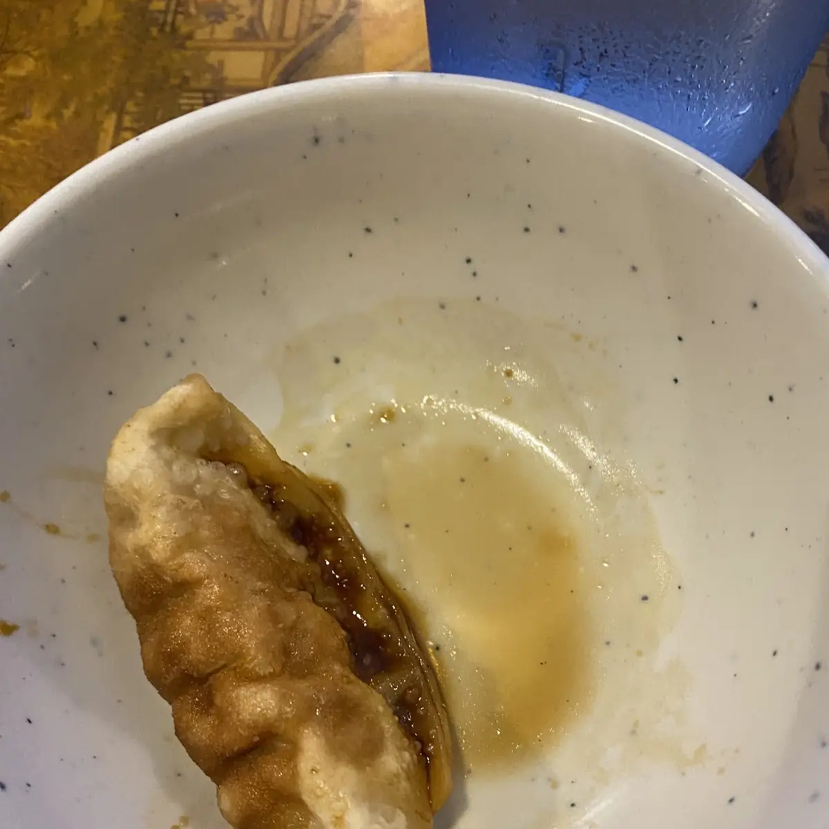 Steamed or Pan Fried Dumpling