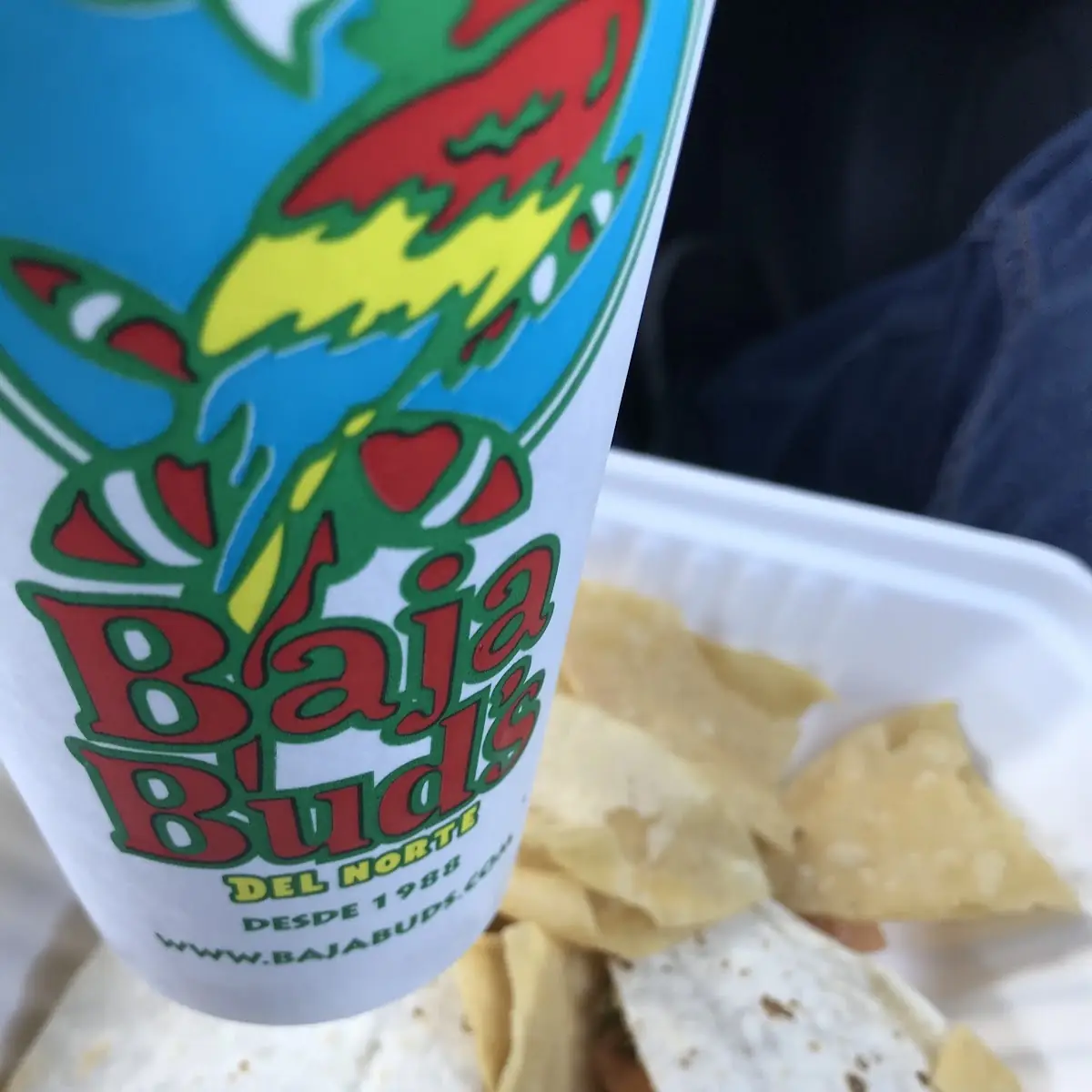 Chicken Quesadilla