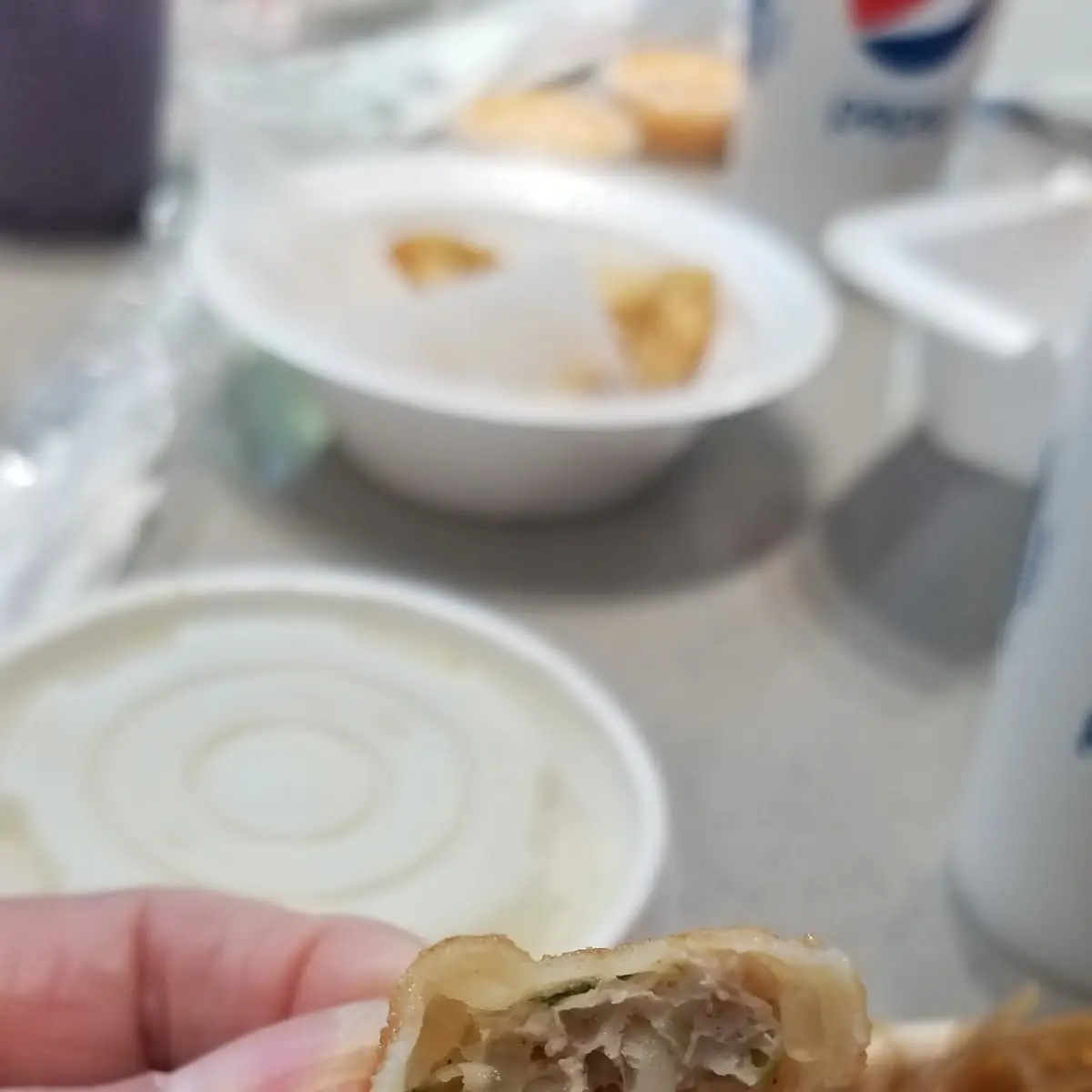Pork Dumplings